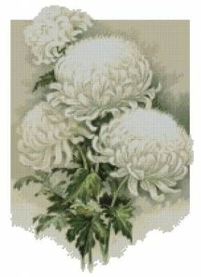 Ищу схему с хризантемами №100063