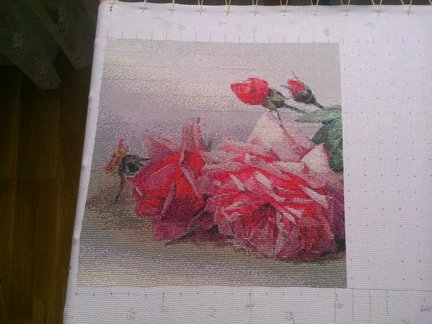 Мои французские розы №100630