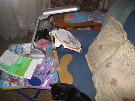 Процесс «Санкт-Петербург. Канал Грибоедова» №101143