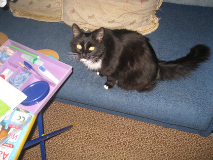 Процесс «Санкт-Петербург. Канал Грибоедова» №101146