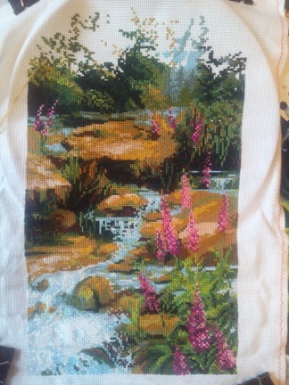 ЗверьЁ моЁ и не только №101603