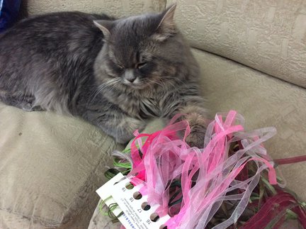 Панна, «Дыхание нежности» №102194