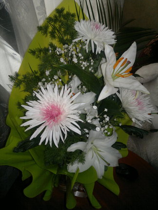 Мой ягуар №103077