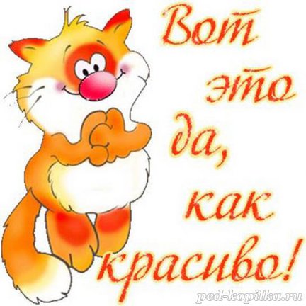 Белые тигры №104165