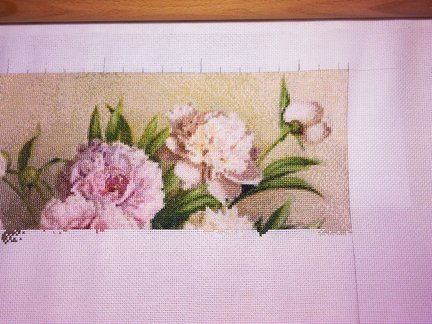 «Нежные пионы» для мамы! №104643