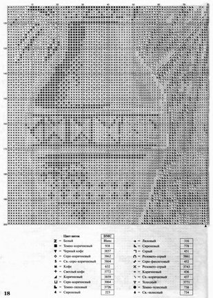Амазонки №105836
