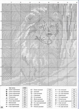 Амазонки №105841