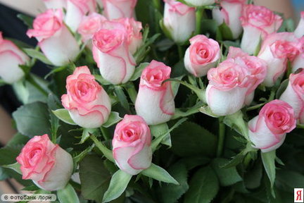 С Днем рождения, Наталья (Fernis)! №107607