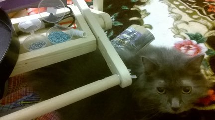 Мой вышивальный дневник №108116