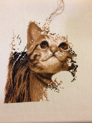 «Подайте копеечку» №108147