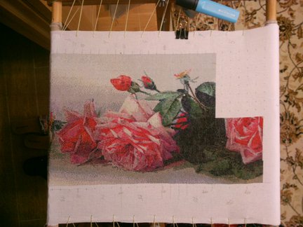 Мои французские розы №109308