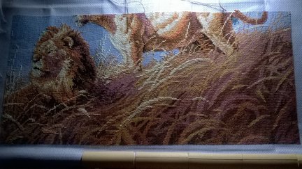 Саванна №110637