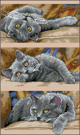 Собираем Dimensions вместе №111478