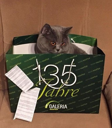 Мои процессы №112356