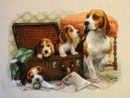 Делюсь схемами «Riolis» дубль №1 №113976