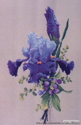 I love cross stitch №114207