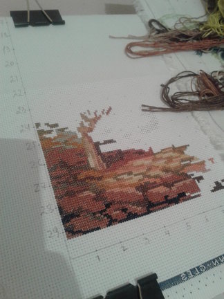 Lost no more №114855