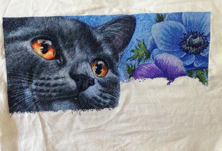 Мои процессы №115275