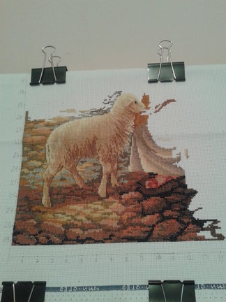 Lost no more №116300