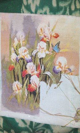 Мой процесс «Ирисы» и др. №117500