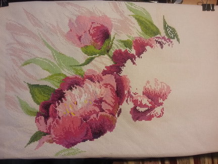 Мой второй процесс на этом сайте «Изумрудная Иветта» №118733