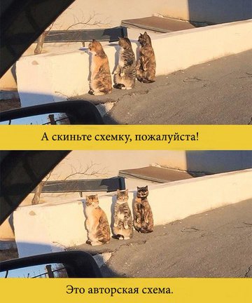 Весёлые картинки №119033