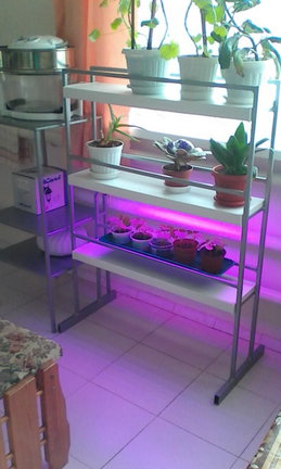 Мир реставрации №119597