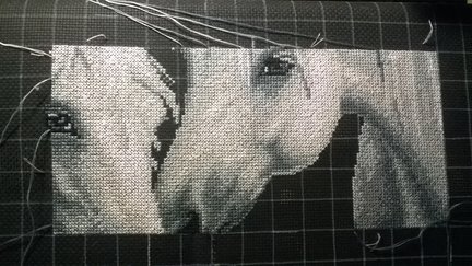 Белые кони №120786