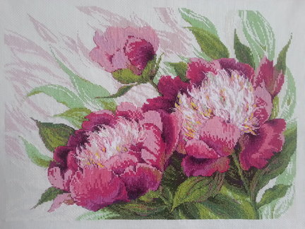 Мой второй процесс на этом сайте «Изумрудная Иветта» №120912