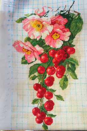 Спелая вишня №121307