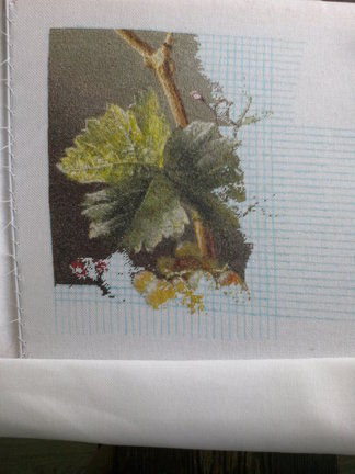 Сливы, фрукты и каштан №121862