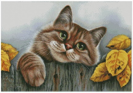 Мой рыжий кот №121983