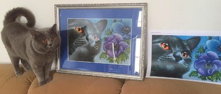 Мои процессы №122237