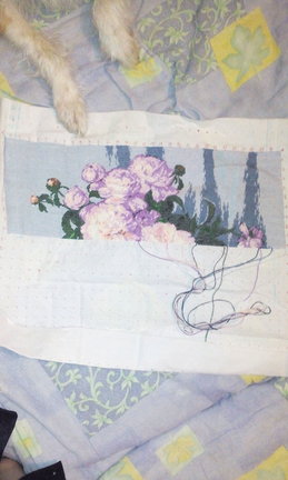 Мой процесс «Ирисы» и др. №122466