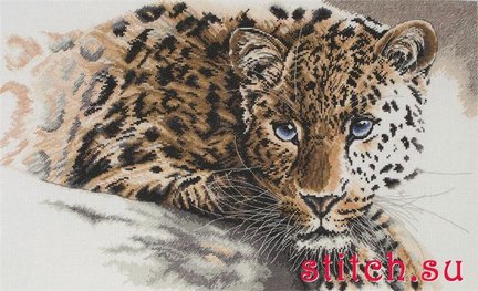 Не могу выбрать канву №122932