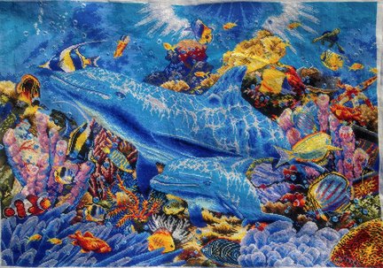 Совместник в контакте «Дельфины» №123790