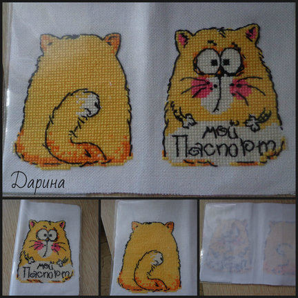 Процесс от «Золотого руна» №124102