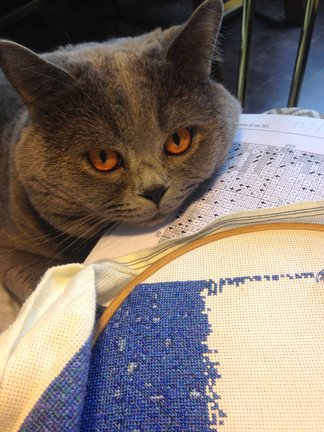 Мои процессы №124762