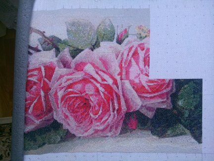 Мои французские розы №124845