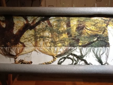 От дебюта и до ГК №126369