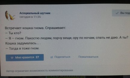 Наши домашние вдохновители и просто невозможные любимки! №129141