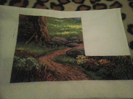 Моё «Феерическое лето» №129307