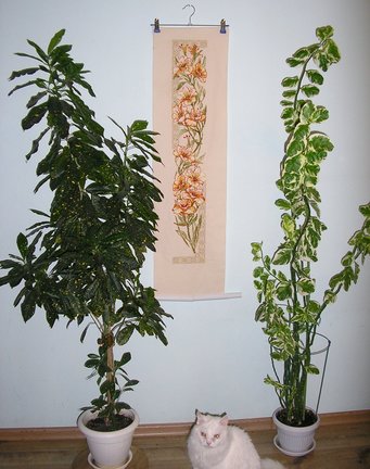 Наши домашние вдохновители и просто невозможные любимки! №129436