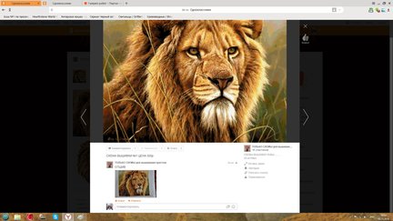 Мошенники №129539