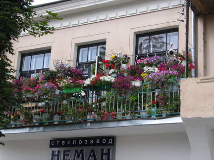 Мои параллельки №130449