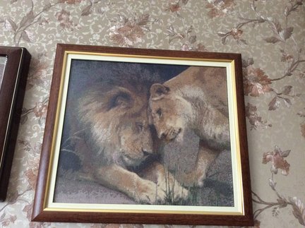 Мошенники №130582