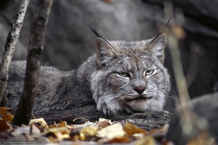 Помогите создать схему №131572