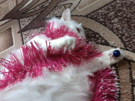 С Новым годом! №133515