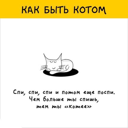 Наши домашние вдохновители и просто невозможные любимки! №133999