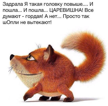 Наши домашние вдохновители и просто невозможные любимки! №134000